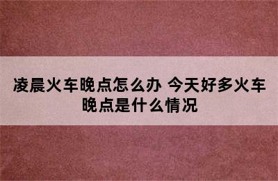 凌晨火车晚点怎么办 今天好多火车晚点是什么情况